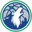 Minnesota Timberwolves